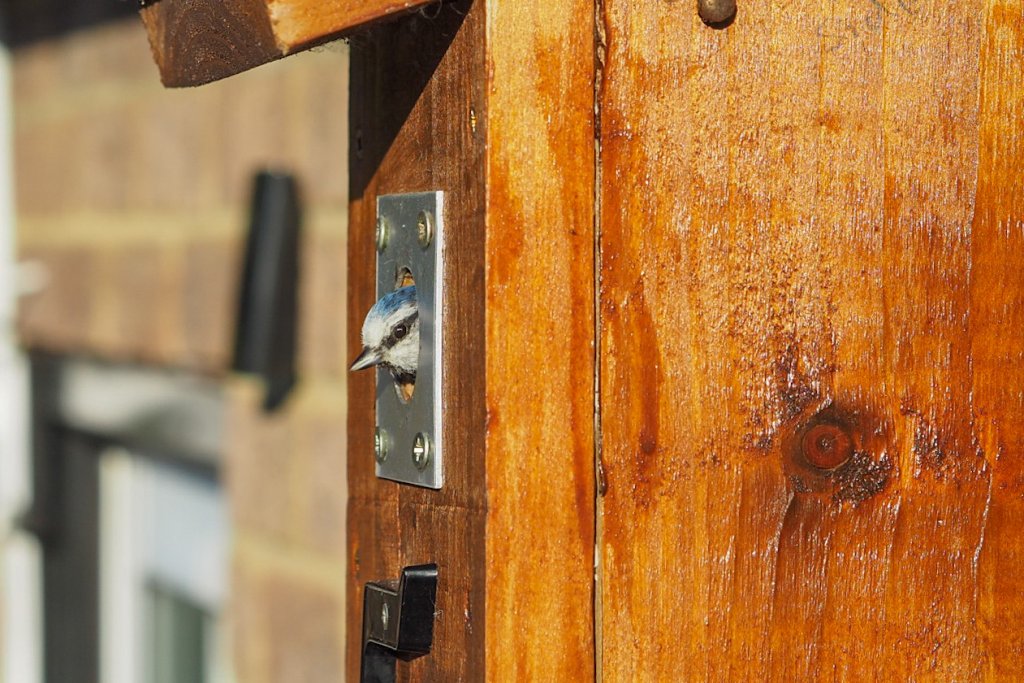 olympus em10 mark ii