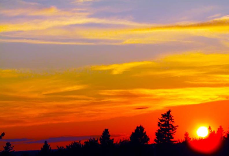 Open to reviews & suggestions