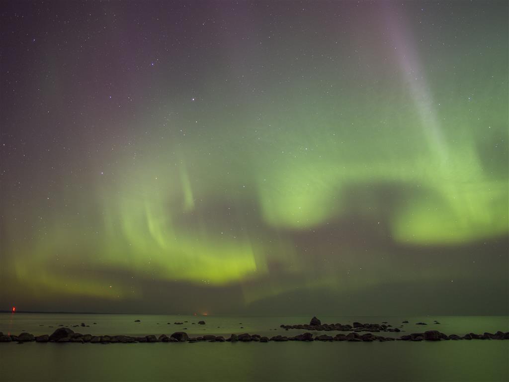 P3188726 (Custom).JPG