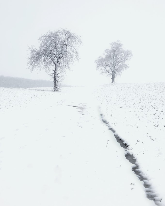 Snow at Cusworth.jpeg