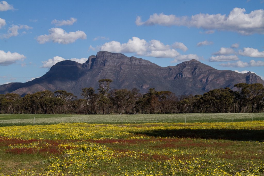 Stirling Range National Park