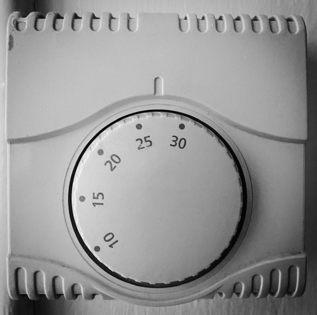 Tp52 week 9 winter.jpeg