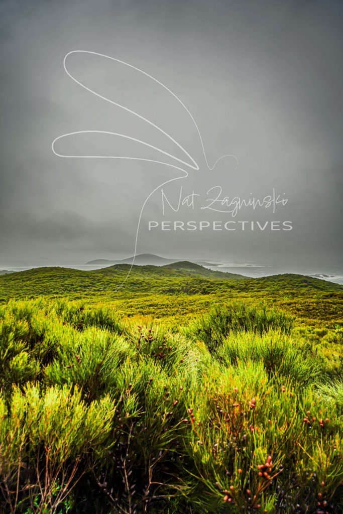 View From The Tomaree Coastal Walk To Fingal Island