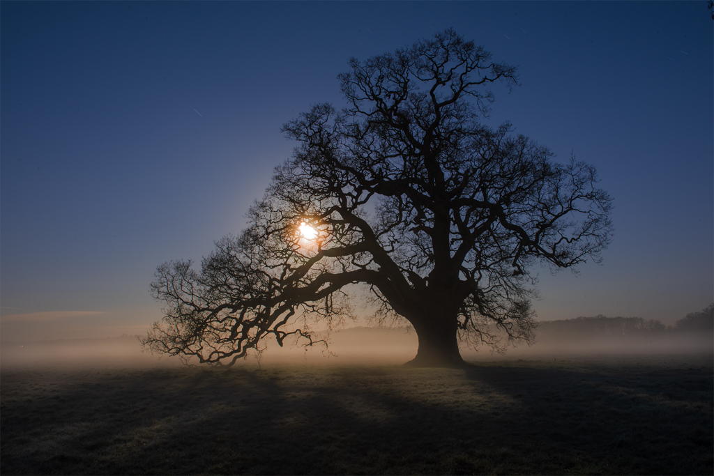 Winter Moon 1 copy.jpg
