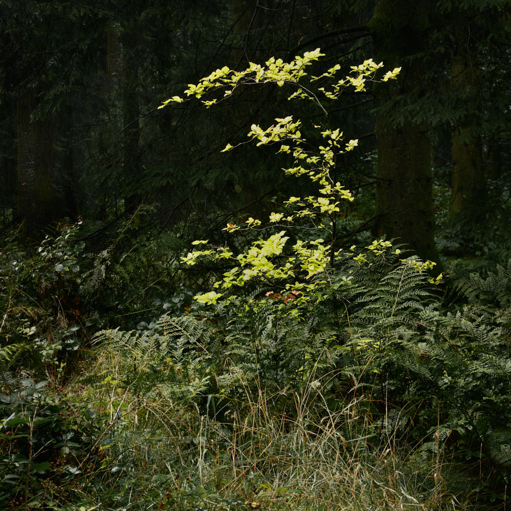 WP_1024_gms_20220824_107_6444 2.jpg