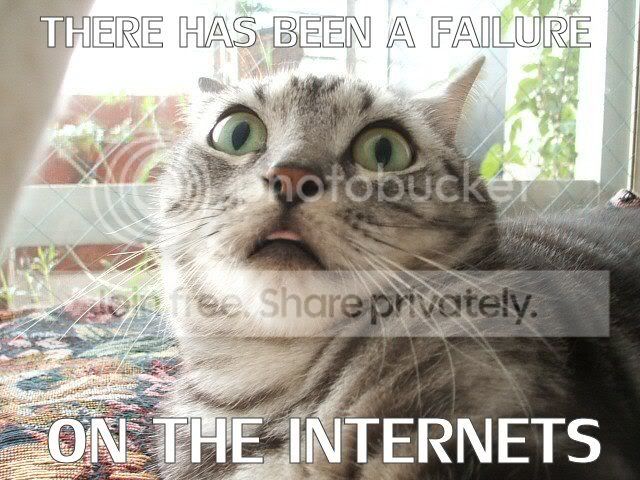 cat-internet-failure.jpg