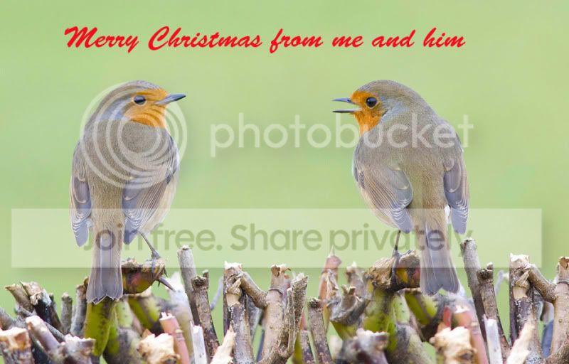 ChristmasCard.jpg