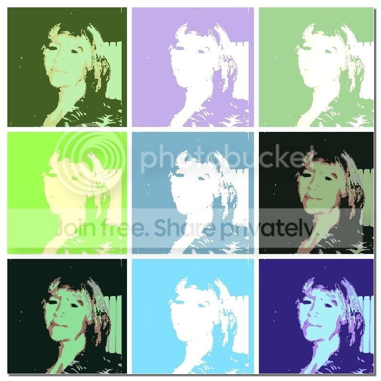 warholizer1.jpg