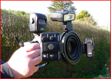 NikonMacroFlashSetup1.jpg