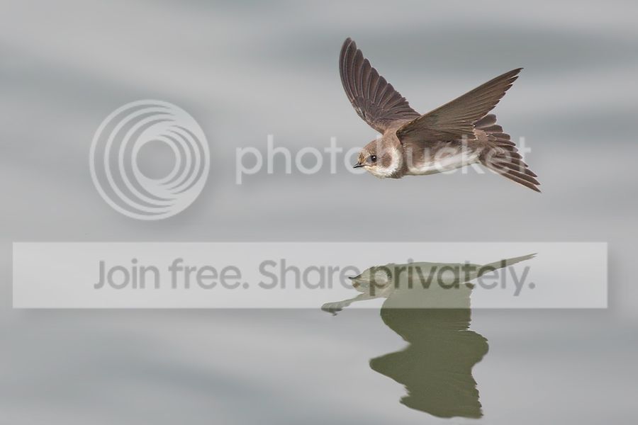 7D2_4067%20b%20900.jpg~original