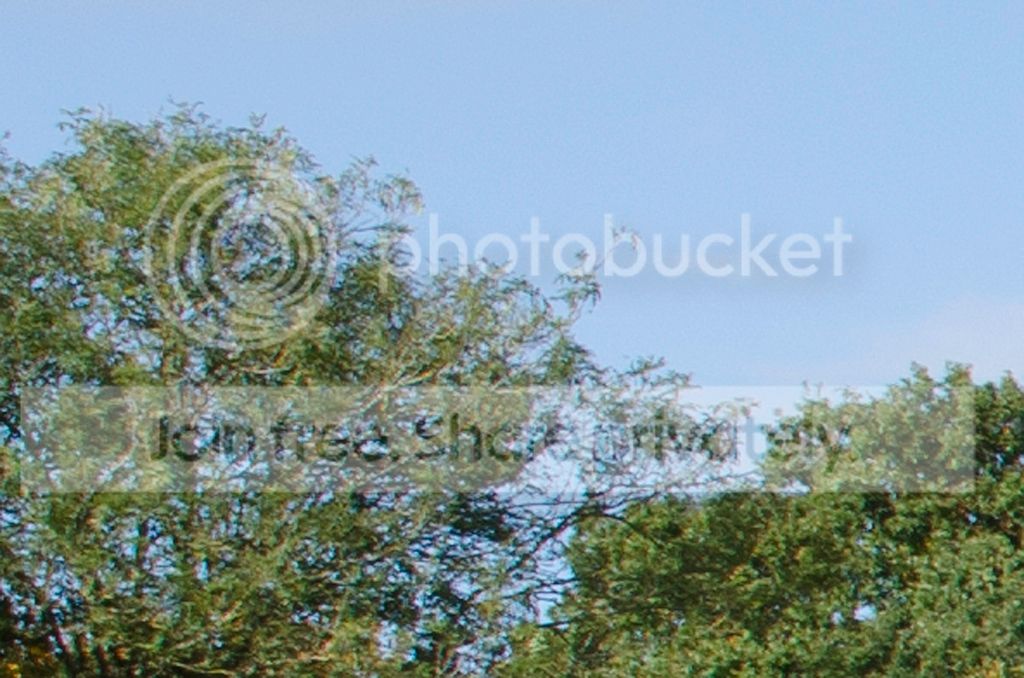 DSC_1109_18-70_crop_1024.jpg~original