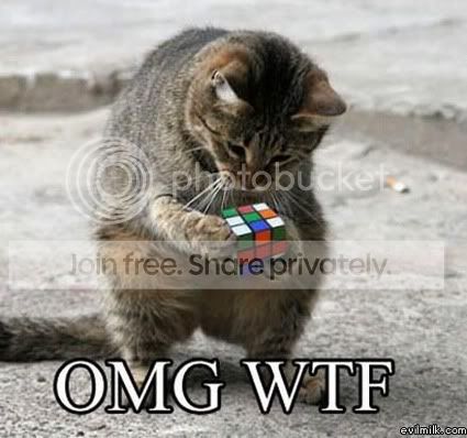 cat_omg_wtf.jpg