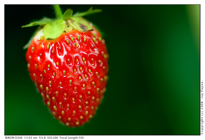 Strawberry(Exif-small).jpg
