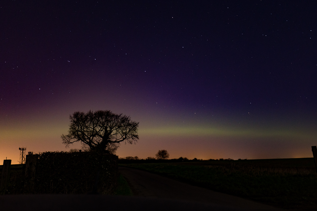 auro1.jpg