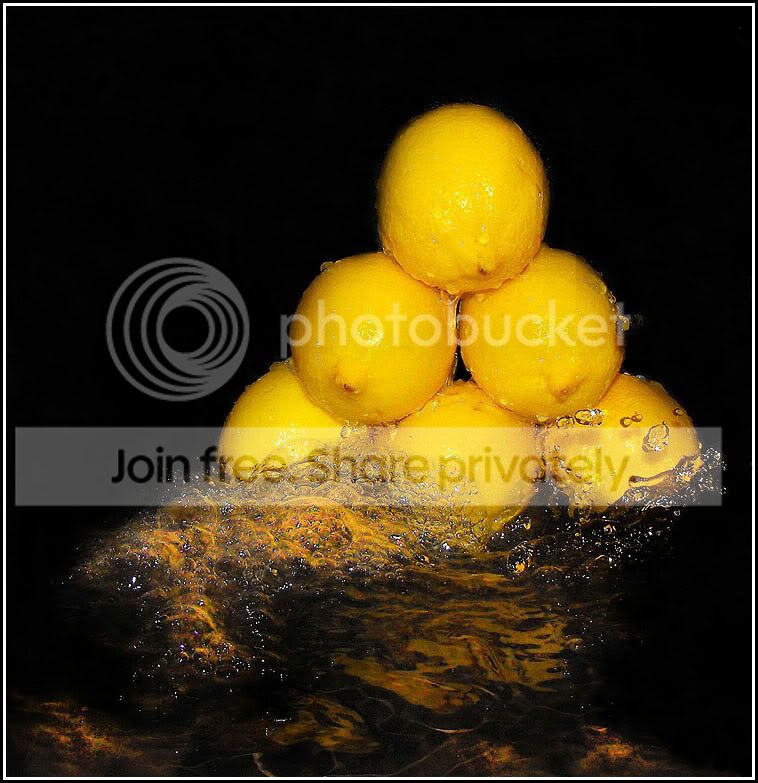 lemon1v2-1.jpg