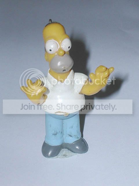 homerflash.jpg
