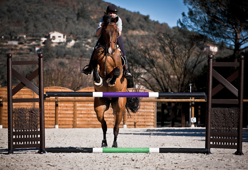 Showjumping-6.jpg