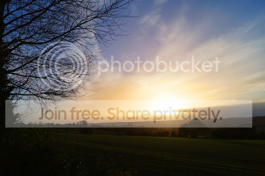 walk01_zpsabab95a1.jpeg~original