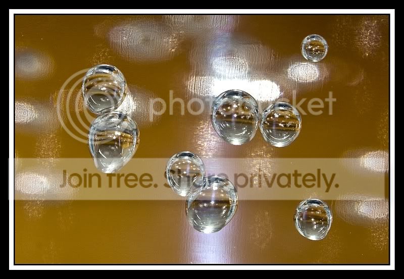 bubbles1.jpg