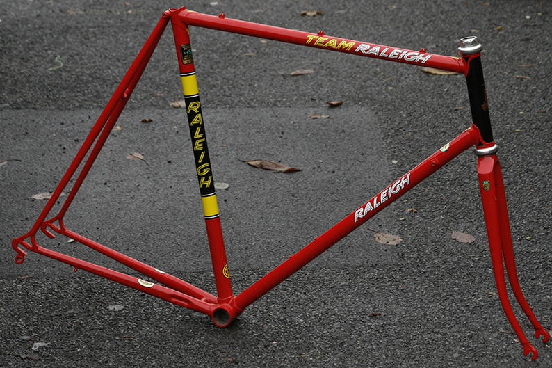 raleigh-team-replica.jpg
