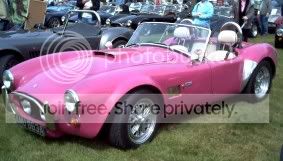 wwwstone20pink20cobra-medium.jpg