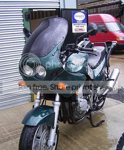 RIMG0317.jpg~original