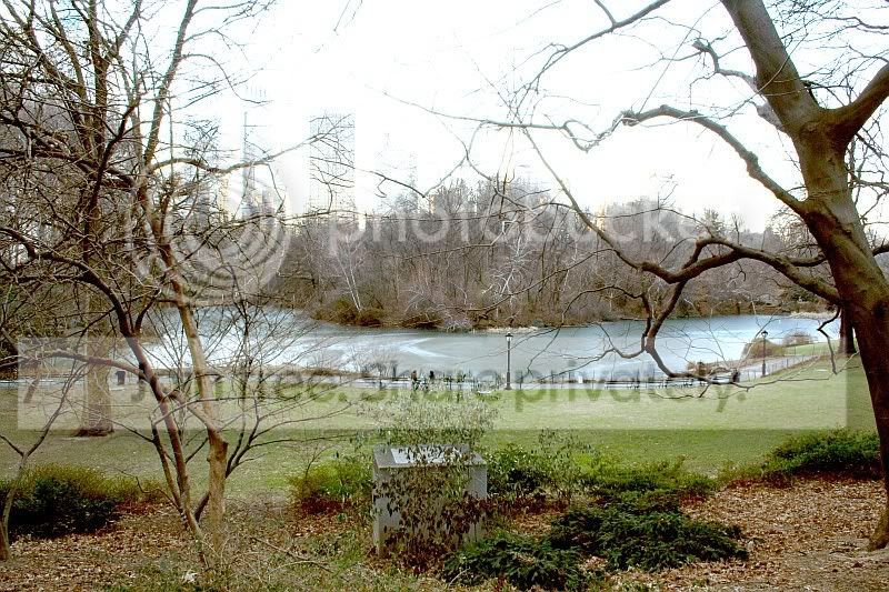 CentralPark1.jpg
