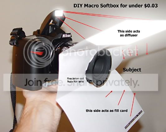 BrilliantQuickDirtyMacroSoftBox.jpg