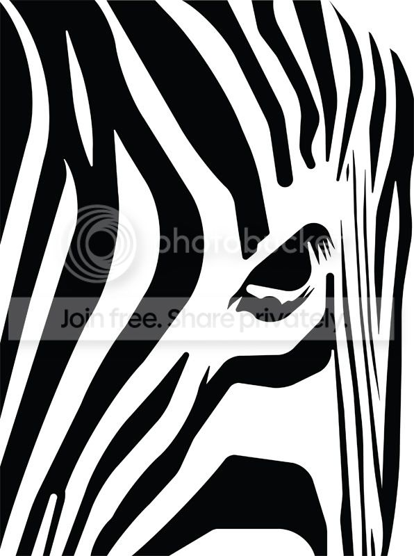 ZEBRA_800.jpg