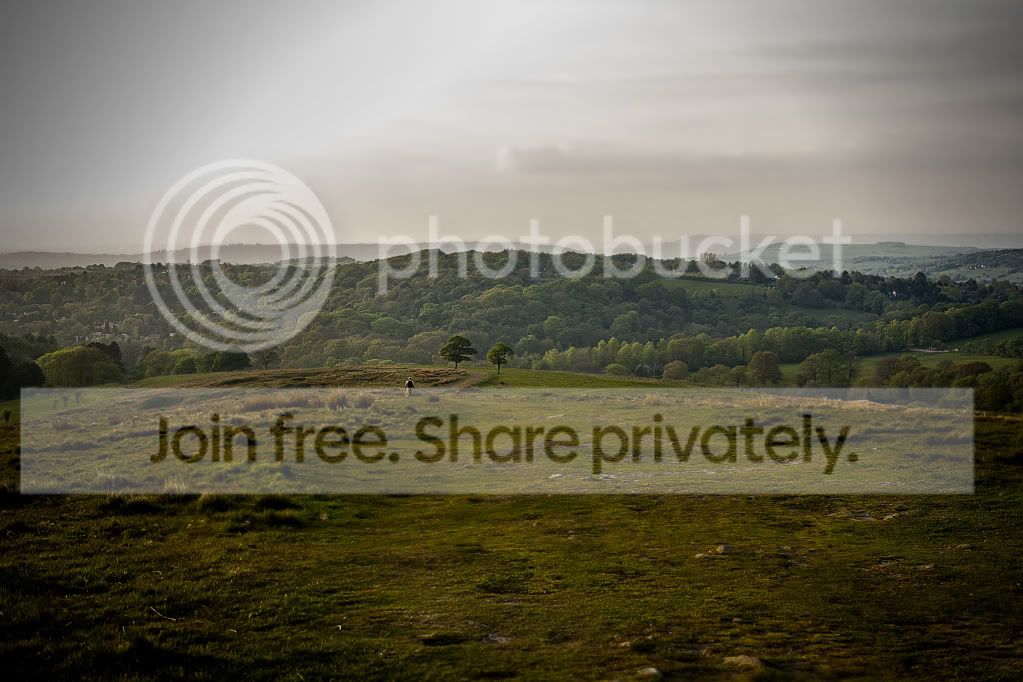 lyme_park_haze_zps2c5986a2.jpg