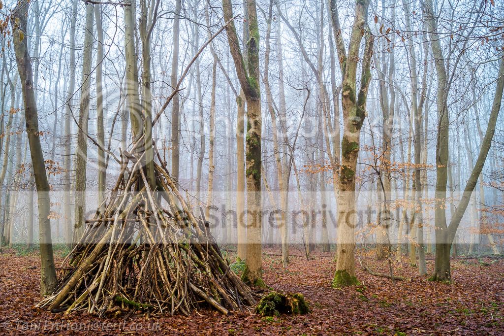 stokewoodmisty2081LR_zps51192519.jpg~original