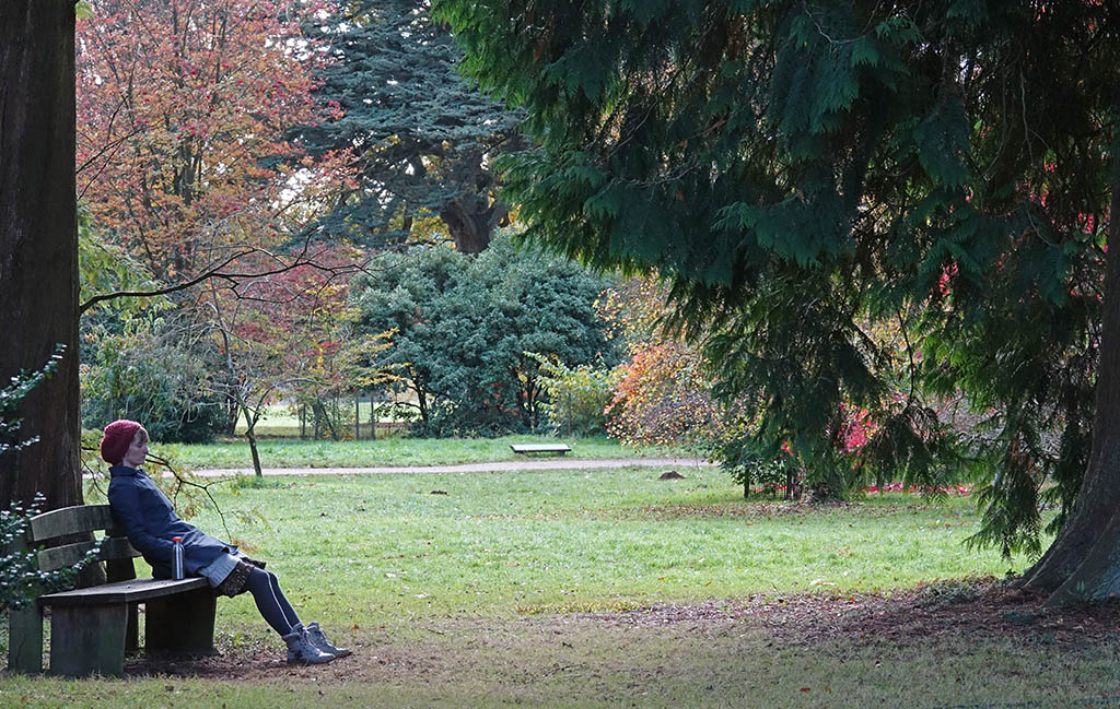 westonbirt1.jpg