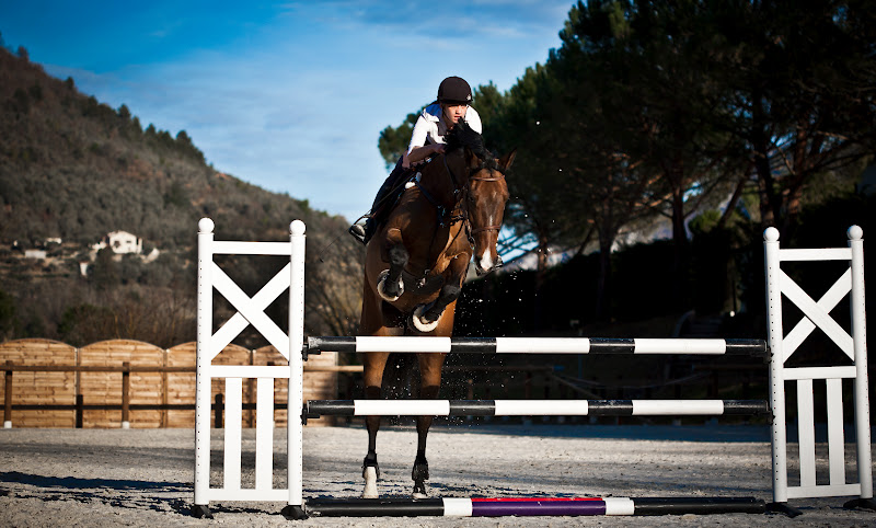 Showjumping-2.jpg