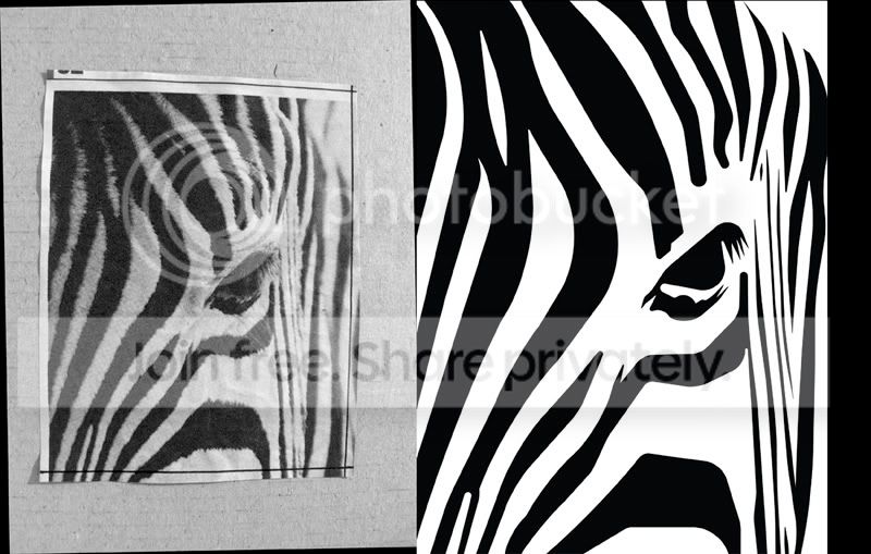 ZEBRA_2.jpg