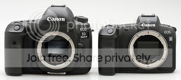 canon-eos-5d-iv-vs-eos-r.jpg