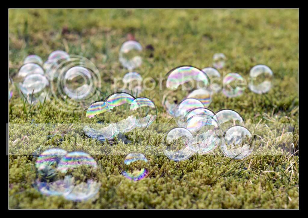 26Bubbles_zpsb5a655f1.jpg
