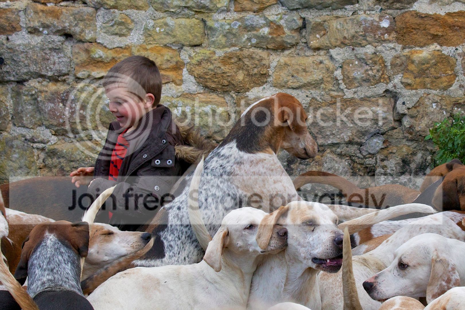 BoywithHounds_0987v.jpg