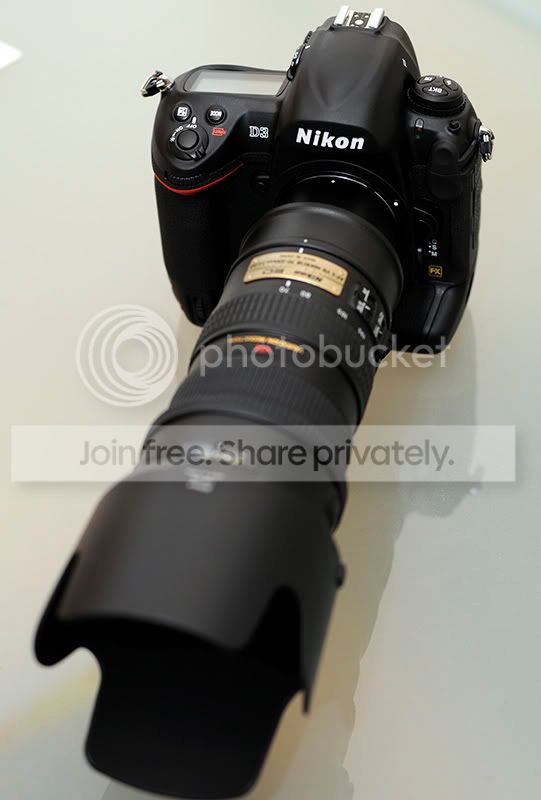 D3.jpg