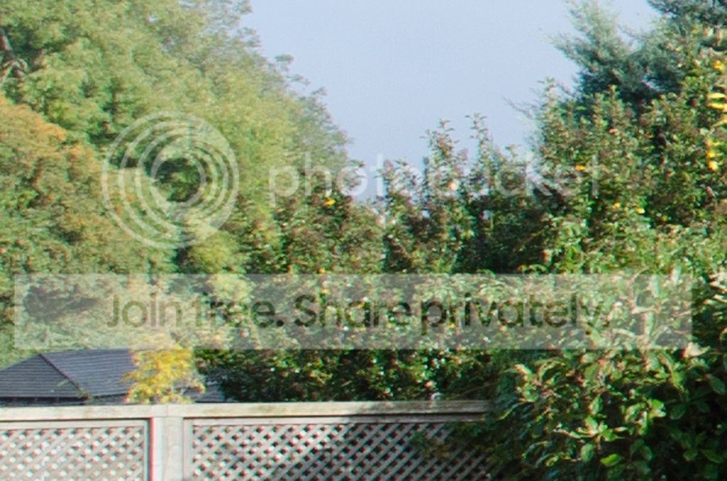 DSC_1104_18-70_crop_1024.jpg~original