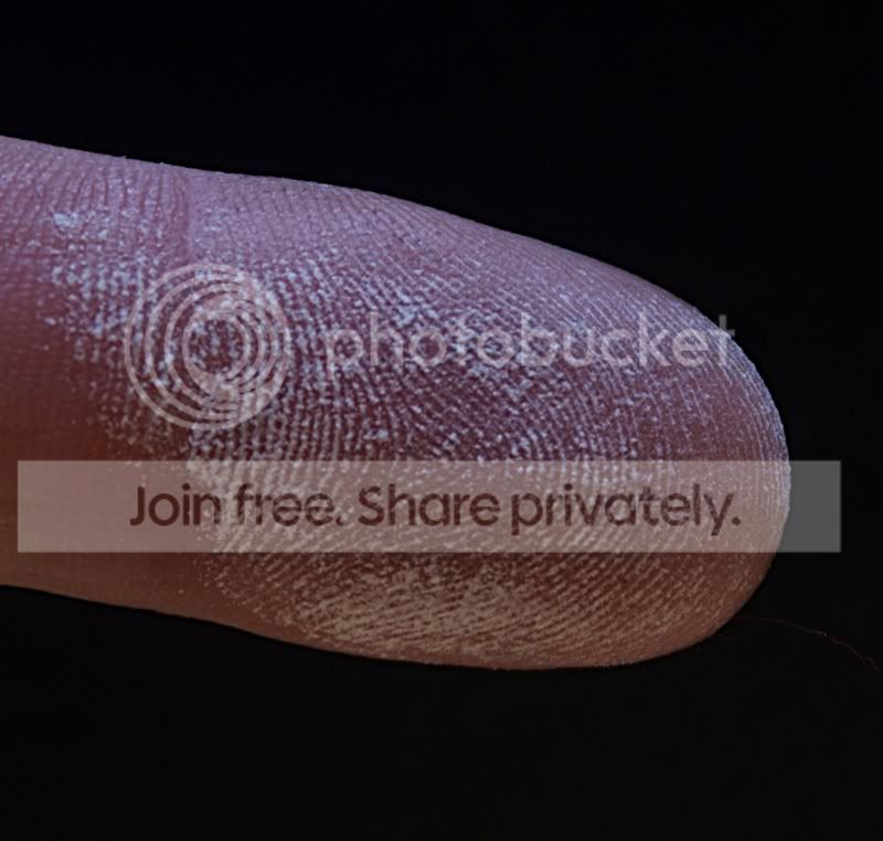 fingerprint-crop.jpg