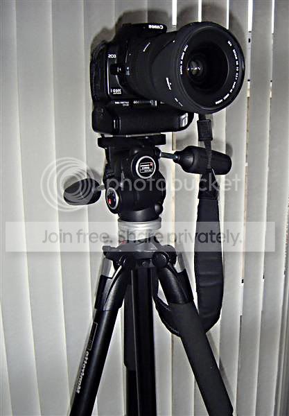 tripod29.jpg