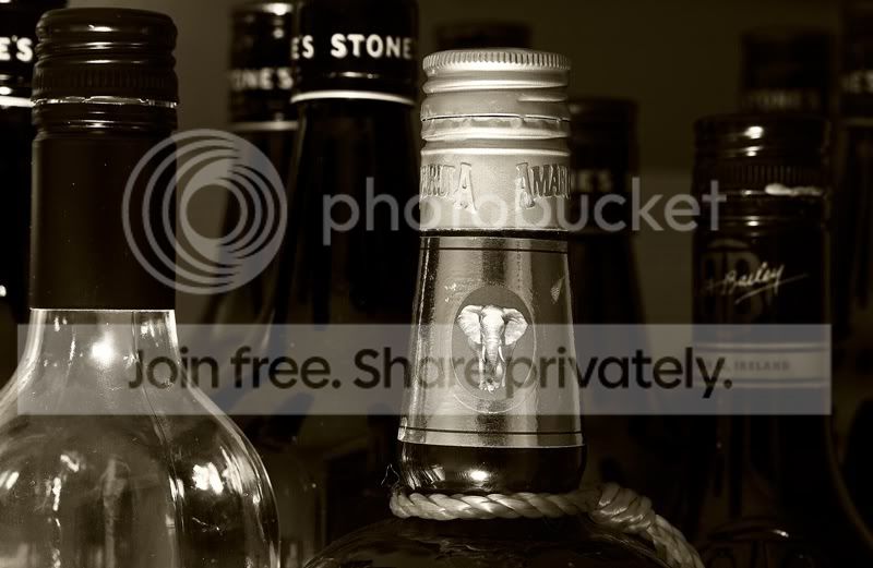 Bottles4606BWwebpb.jpg