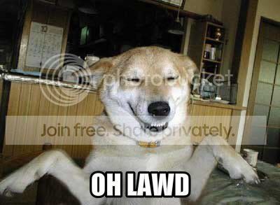 LOLlyOhLawdDog_anonib.jpg