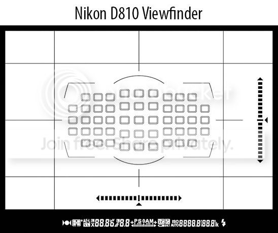 Nikon-D750-vs-D810-Viewfinder.jpg