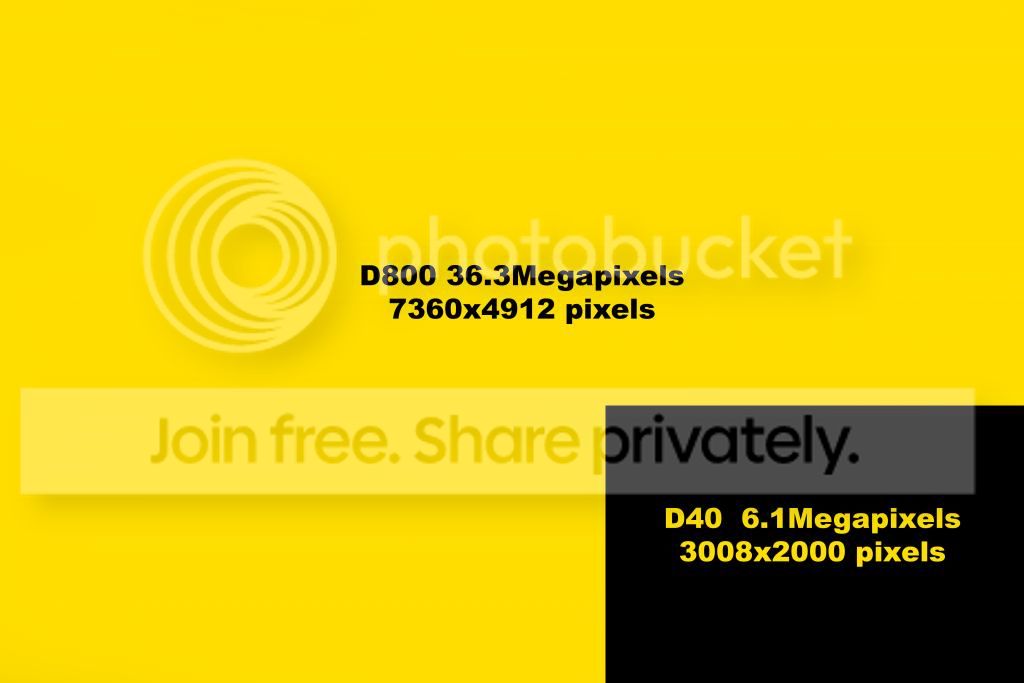 D800vsD40Imagesize_zps3041ea81.jpg