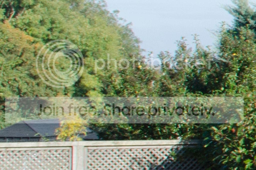 DSC_1107_17-55_40_crop_1024.jpg~original