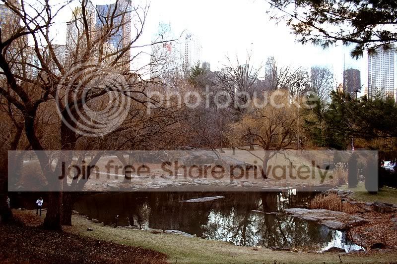 CentralPark3.jpg