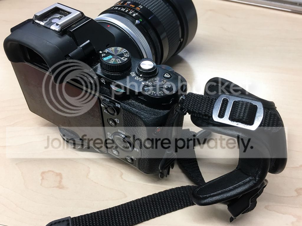 IMG_4364.jpg~original