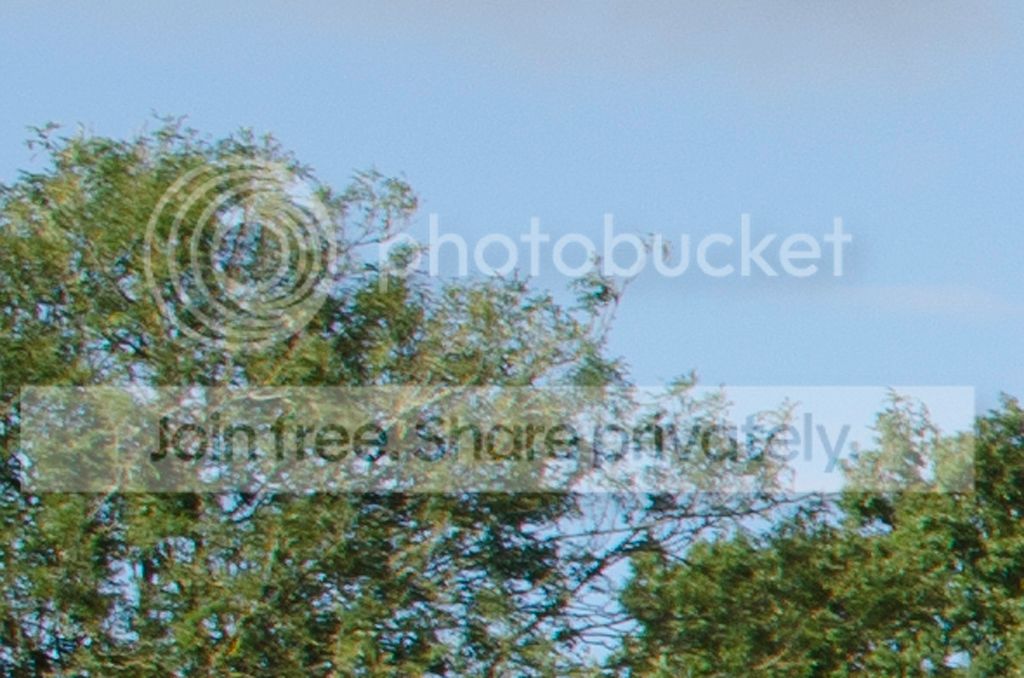 DSC_1108_17-55_40_crop_1024.jpg~original