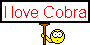 :cobra: